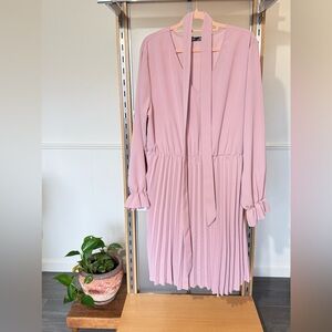 Chic Long Sleeve Pink Dress